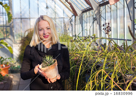 Florists woman working in greenhouse. Florists woman working in greenhouse. 16830996