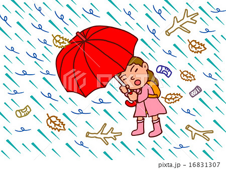 台風 台風 16831307