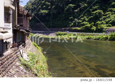 新見市　高梁川 16831598