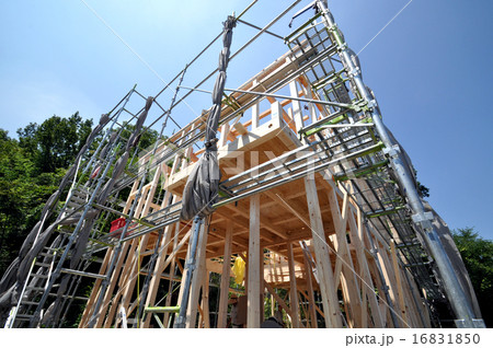 木造 木造 16831850