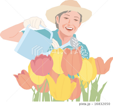 花の手入れをするアクティブシニアの女性 16832050