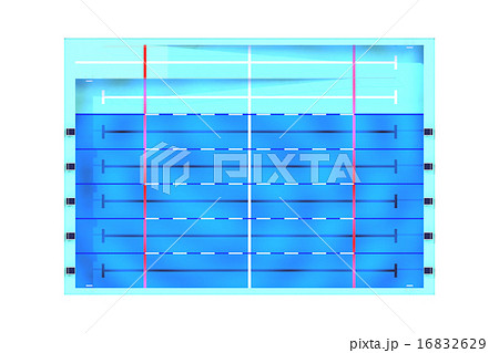 真上から見た25mプールのイラスト素材