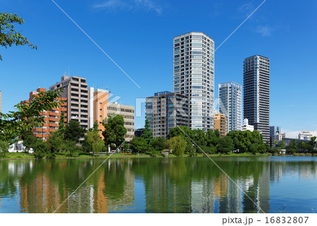 朝凪の不忍池と周囲の景観 朝凪の不忍池と周囲の景観 16832807