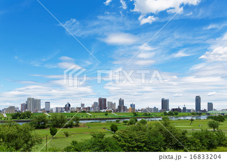 青空が広がる荒川の川原より川口市の住宅街を臨む 青空が広がる荒川の川原より川口市の住宅街を臨む 16833204