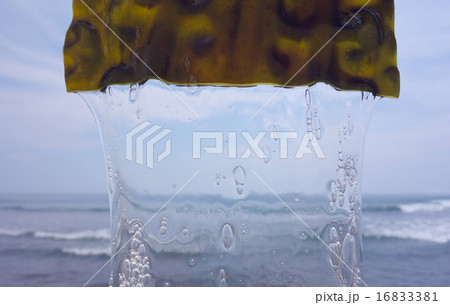 ガゴメ昆布　海背景02 16833381