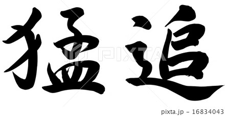 猛追 16834043