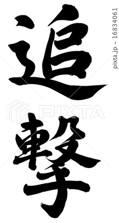 追撃 16834061