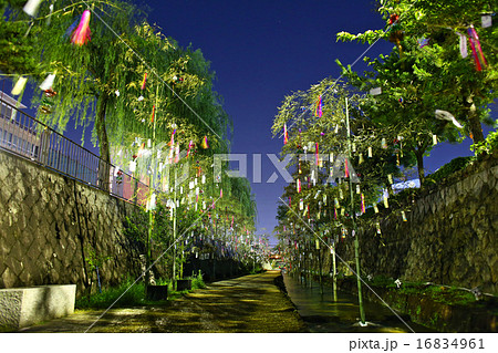 京の七夕　七夕の道 16834961