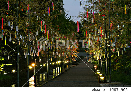 京の七夕　七夕の道 16834965