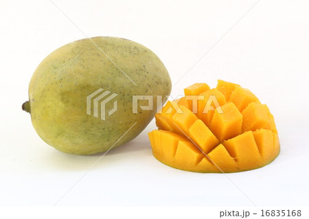 Mango Fruit  16835168