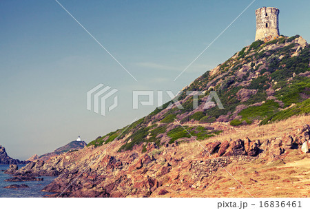 La tour Parata. Ancient Genoese tower, Ajaccio 16836461