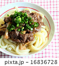肉うどん 16836728