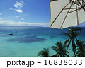 青い海とビーチパラソル 16838033