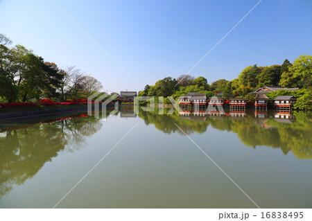 京都　長岡天満宮　八条ヶ池 16838495