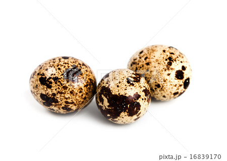three quail eggs 16839170