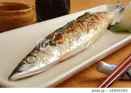 秋刀魚の塩焼き 日本酒 秋刀魚の塩焼き 日本酒 16840163