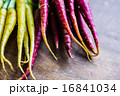 Colorful carrots 16841034