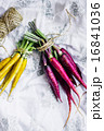 Colorful carrots 16841036