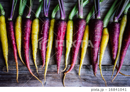 Colorful carrots Colorful carrots 16841041