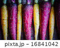 Colorful carrots 16841042