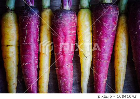 Colorful carrots Colorful carrots 16841042