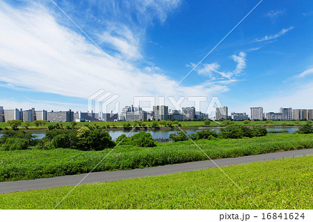 青空が広がる荒川と川の手住宅街 16841624