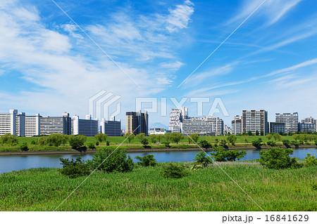 青空が広がる川の手住宅街と富士山 16841629