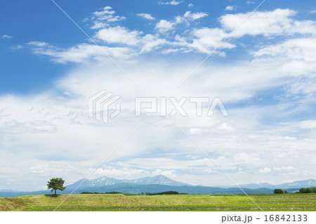 夏の風景1 夏の風景1 16842133