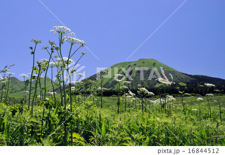 阿蘇の山14 16844512