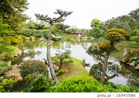 Japanese style garden in Hiroshima, Japan 16845086