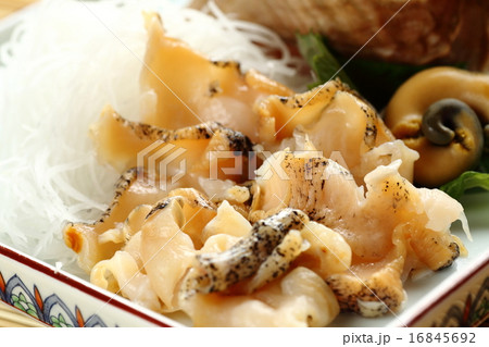 真つぶの刺身 16845692