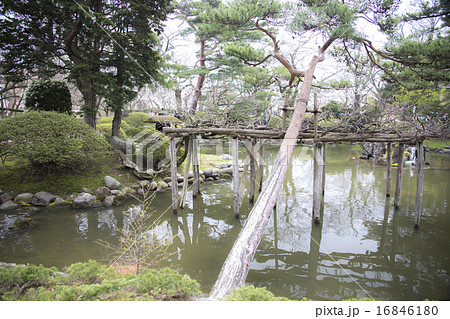 秋田県秋田市千秋公園の桜 松 池の写真素材