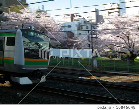 宇都宮線 E233系 川口駅 宇都宮線 E233系 川口駅 16846649