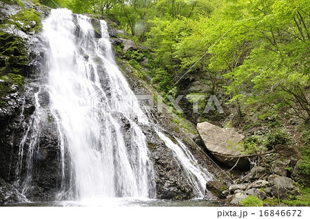 丹沢山地 雷滝 丹沢山地 雷滝 16846672