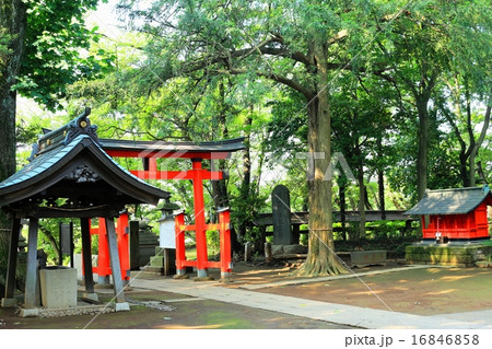 大谷場氷川神社 16846858
