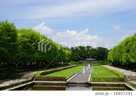 7月　深緑の公園と積乱雲 16847291