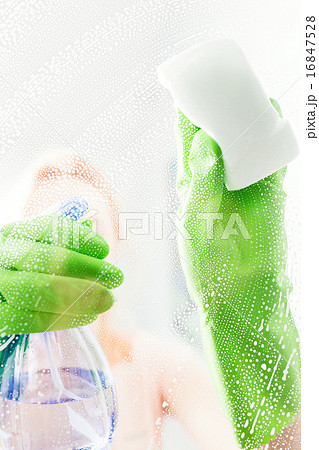 Cleaning window pane with detergent, 16847528