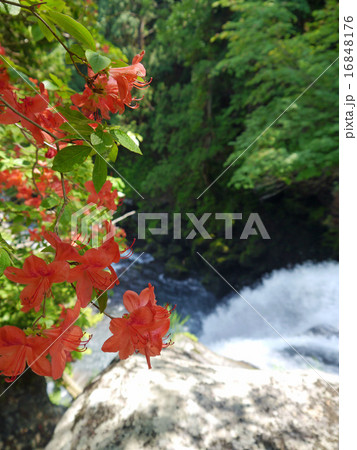 二ノ滝 山形 二ノ滝 山形 16848176