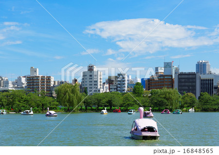 上野の不忍池のレジャーボートと青空の写真素材