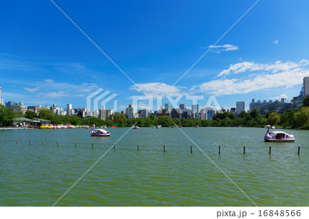 上野の不忍池のレジャーボートと青空 16848566