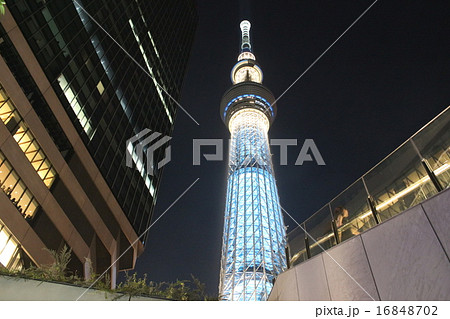 東京スカイツリーライトアップwithビル 東京スカイツリーライトアップwithビル 16848702