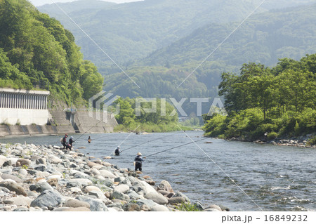 アユ釣り 16849232