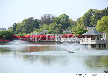 京都 長岡天満宮 八条ヶ池 京都 長岡天満宮 八条ヶ池 16849285