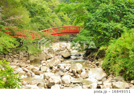 伊川に架かる橋 伊川に架かる橋 16849351