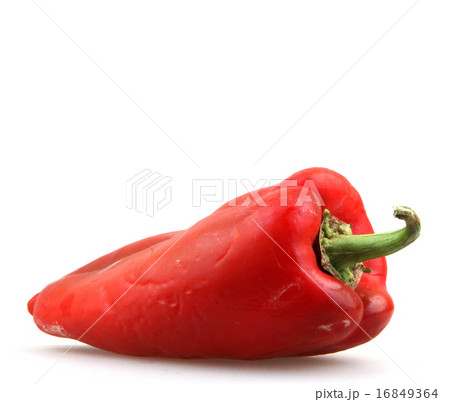 Red chili pepper 16849364
