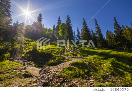 Mountain landscape 16849570