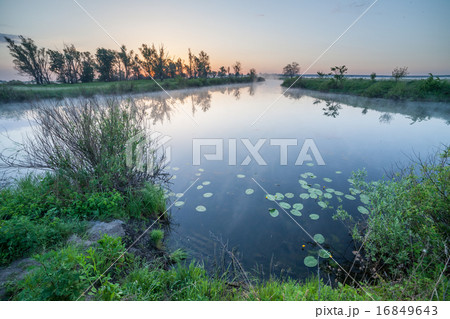 summer sunrise over the river with a fog 16849643