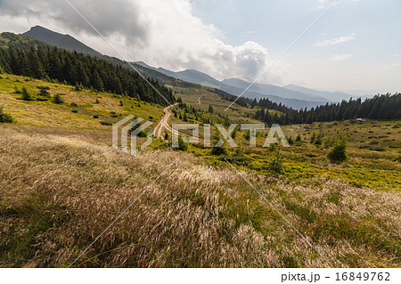 Summer landscape in mountains  16849762