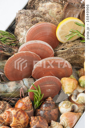 Fresh sea food set Fresh sea food set 16849966