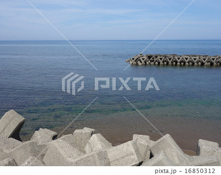 新潟の海 新潟の海 16850312